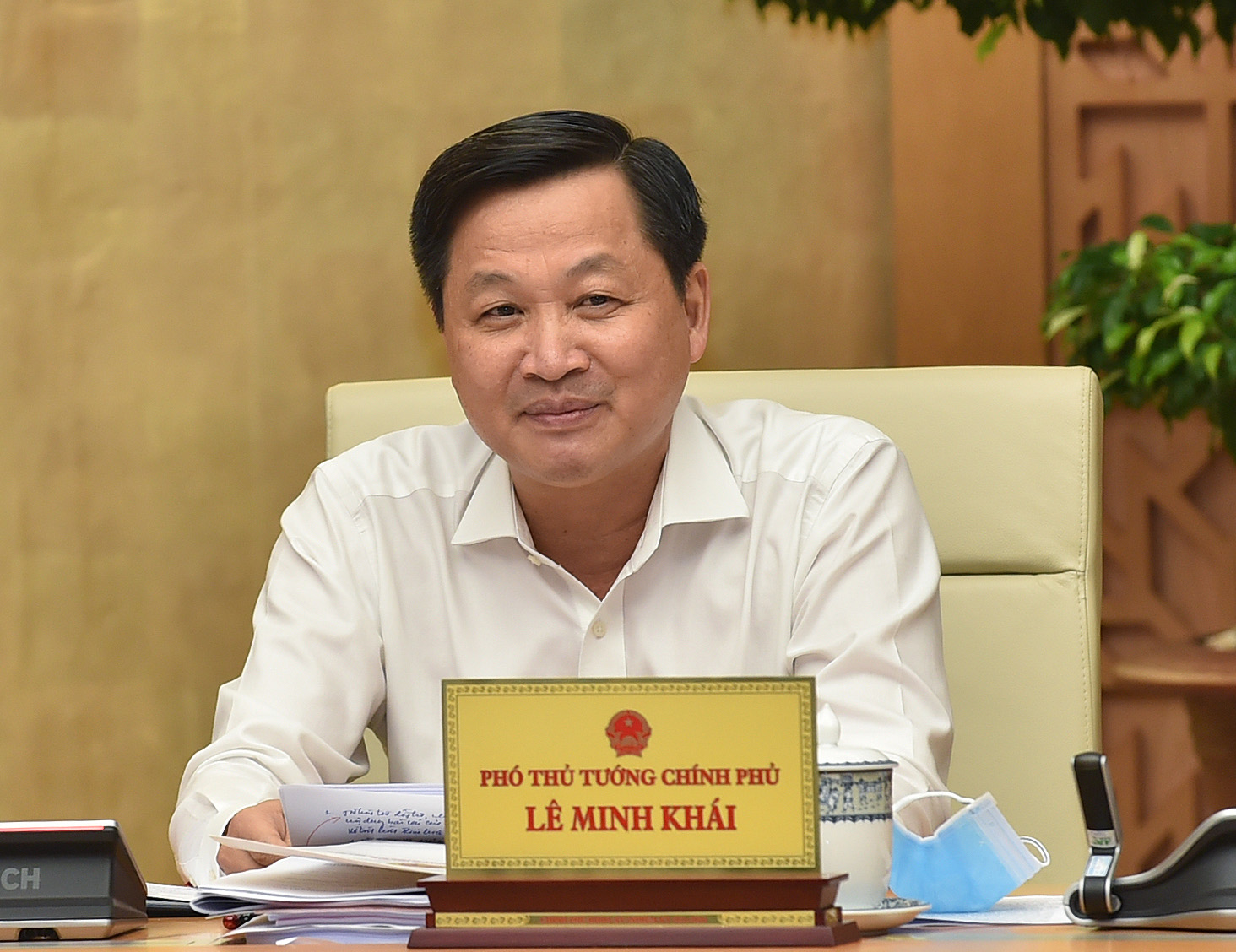Phó Thủ tướng Lê Minh Khái phát biểu tại Phiên họp 