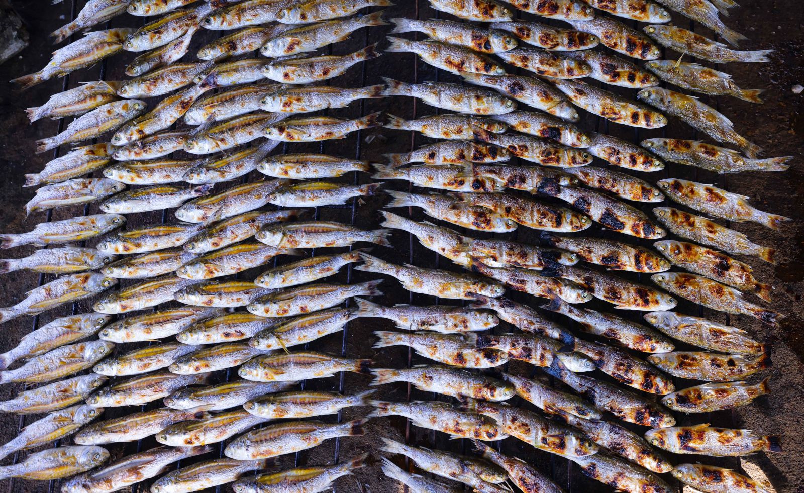 Cá nướng cũng có đủ loại như cá thửng, cá thu, cá trích, cá hồng… được mang ra chợ bán.