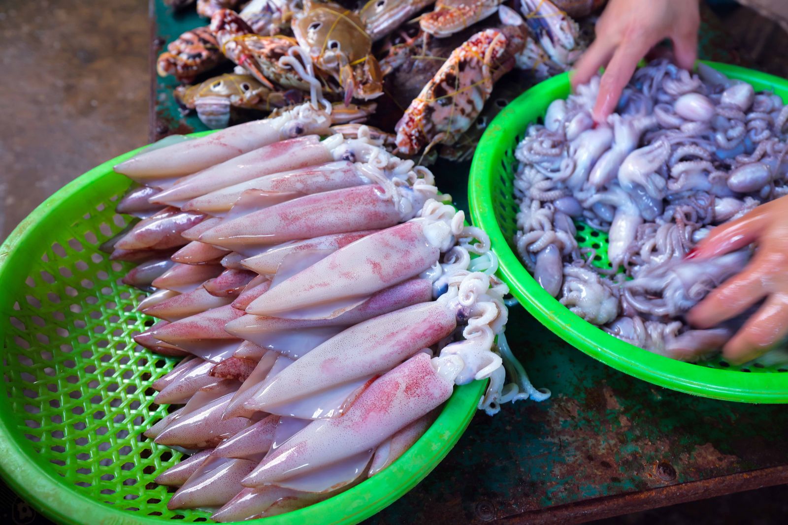 … Bên cạnh cá nướng, nhiều loại hải sản khác như tôm, mực… 