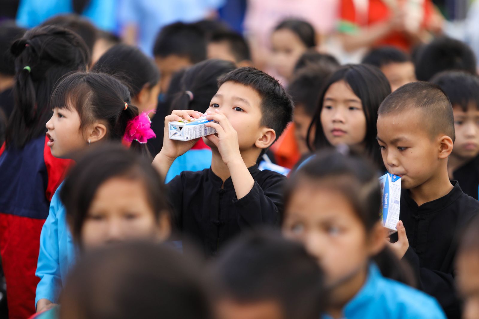 Các em học sinh trường tiểu học Húc Động thỏa thích thưởng thức những Hộp sữa thơm ngon tại sự kiện,