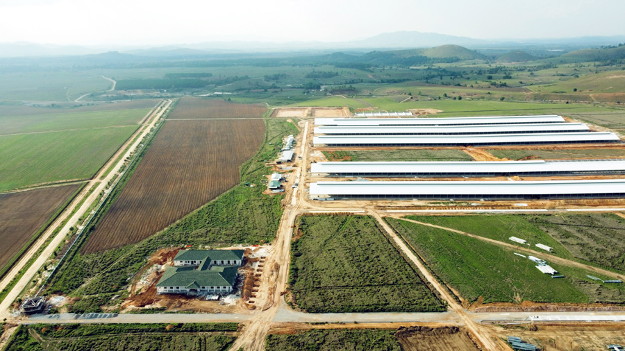 Trang trại đầu tiên trong Tổ hợp bò sữa Lao-Jagro tại Xiêng Khoảng của Vinamilk đã hoàn thành các hạng mục xây dựng cơ bản