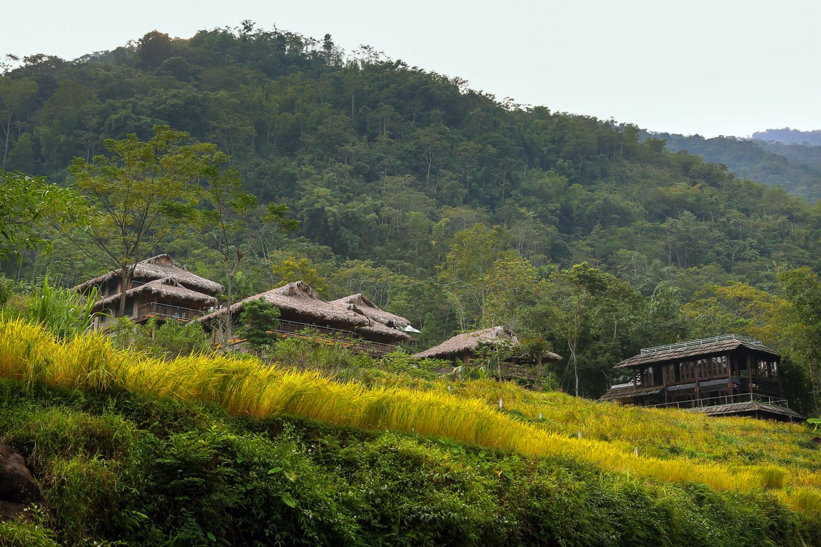  Pù Luông, bản Đôn Pù Luông, người Thái ở Pù Luông, khu bảo tồn thiên nhiên Pù Luông, 