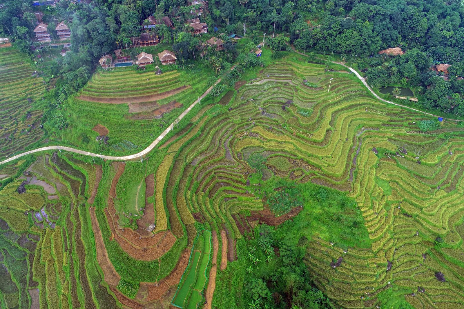  Pù Luông, bản Đôn Pù Luông, người Thái ở Pù Luông, khu bảo tồn thiên nhiên Pù Luông, 