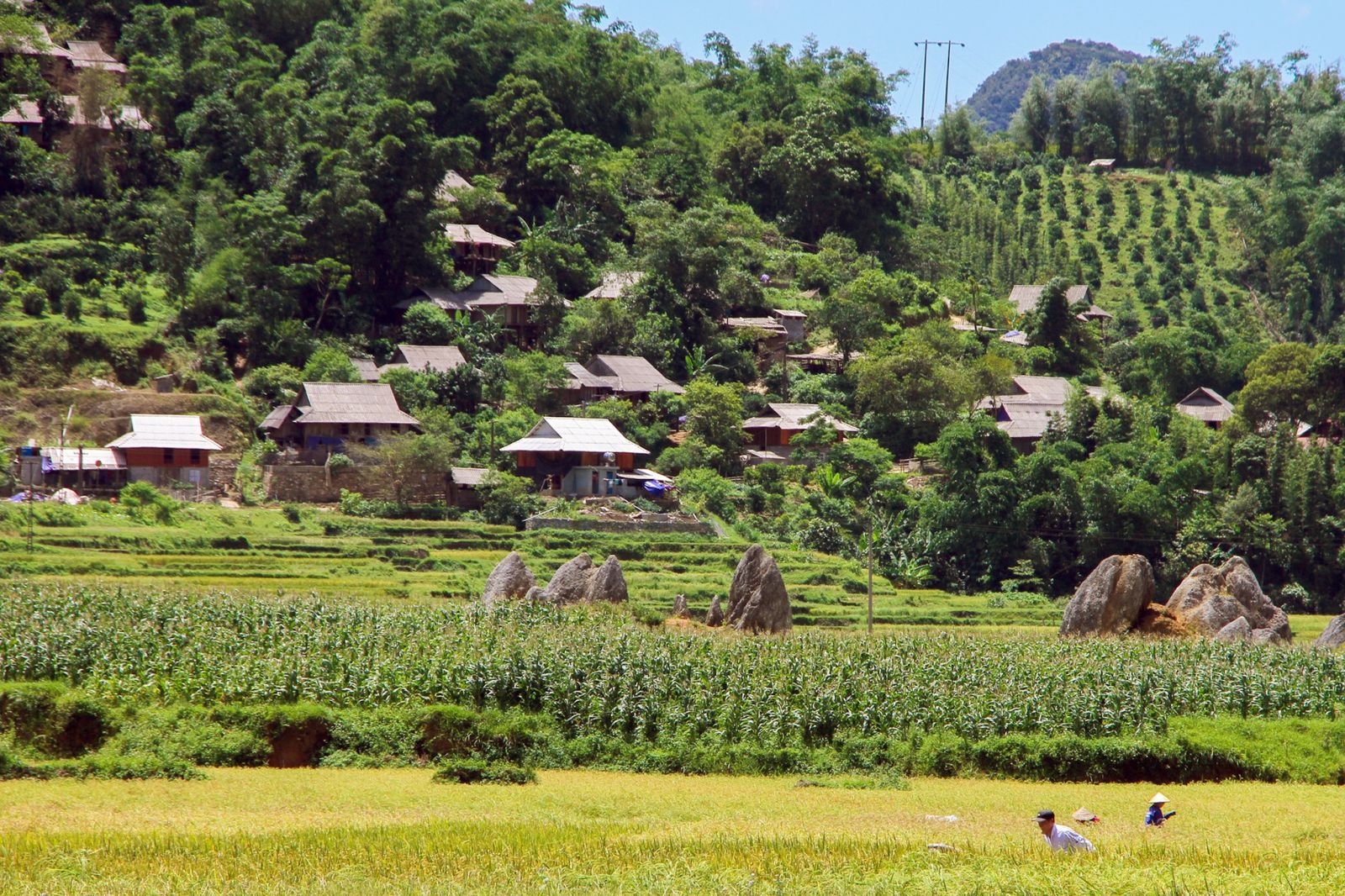  Pù Luông, bản Đôn Pù Luông, người Thái ở Pù Luông, khu bảo tồn thiên nhiên Pù Luông, 