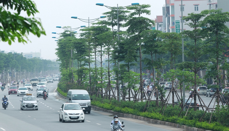 Hệ thống cây xanh trên đường Võ Chí Công, Hà Nội. 