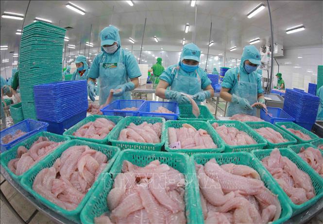 Cần nhiều chính sách đồng bộ để kích cầu tiêu dùng. Ảnh: TTXVN