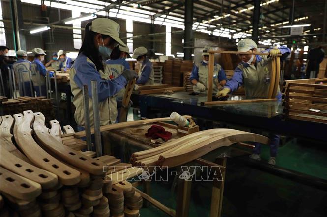Nhà máy chế biến gỗ của Công ty CP Woodsland Tuyên Quang ở Cụm công nghiệp Thắng Quân (huyện Yên Sơn, Tuyên Quang). Ảnh: Vũ Sinh/TTXVN