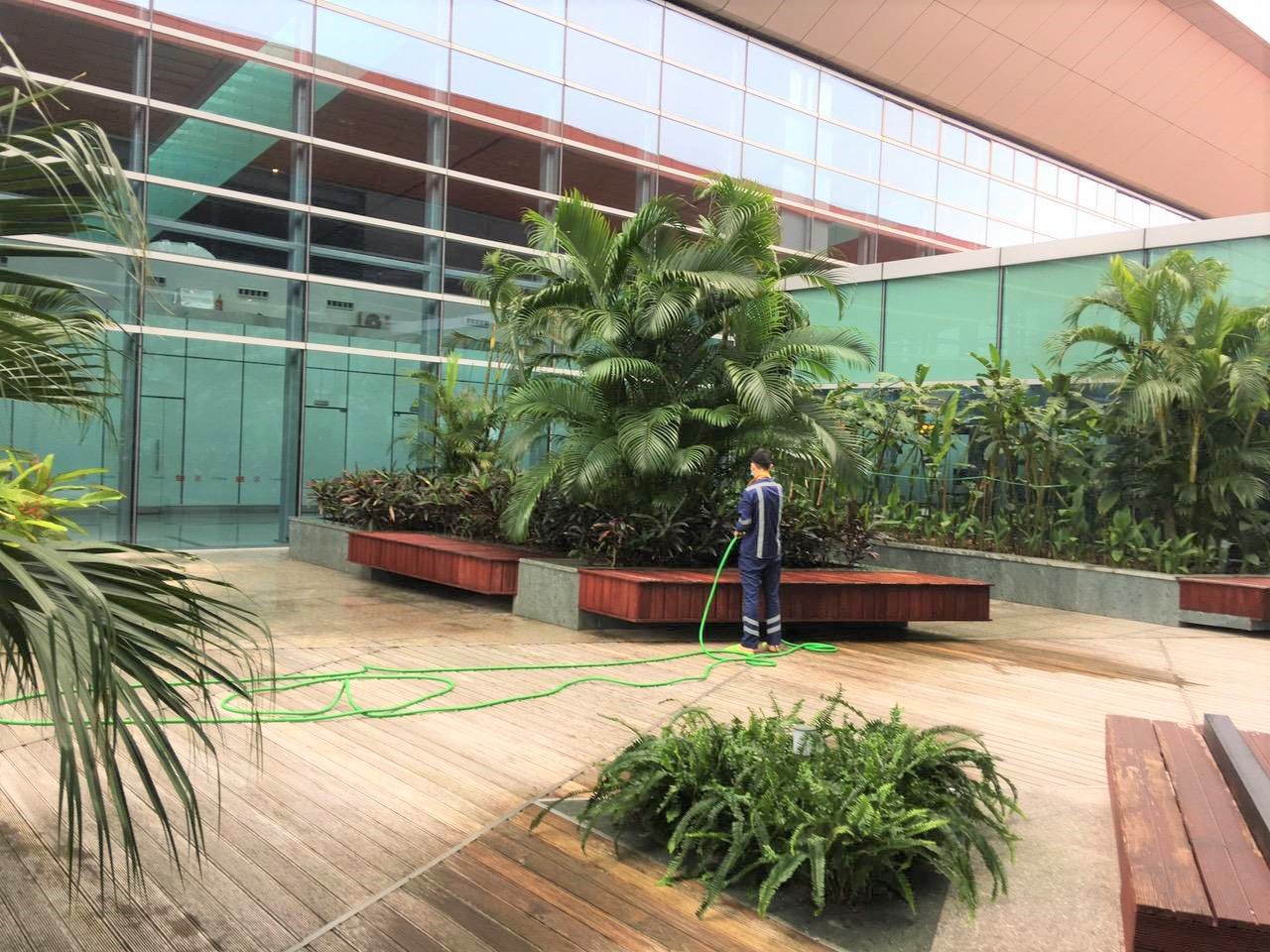 CBNV cách ly tại sân bay vẫn chủ động bảo trì bảo dưỡng máy móc, cây xanh để sẵn sàng cho ngày mở cửa