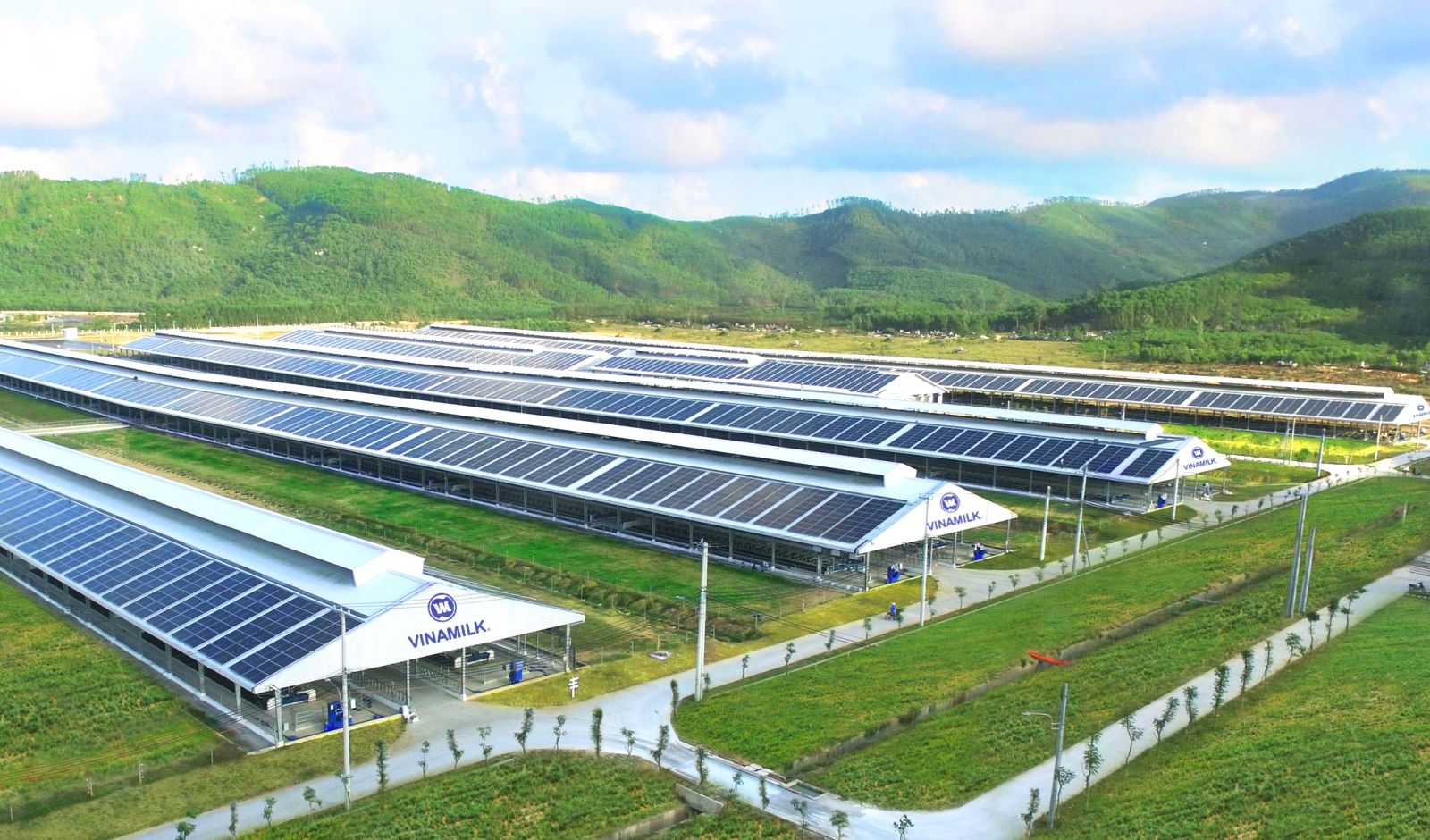 Hệ thống trang trại Vinamilk Green Farm (tại Quảng Ngãi, Tây Ninh, Thanh Hóa) sẽ được công ty  đầu tư phát triển trong thời gian tới.