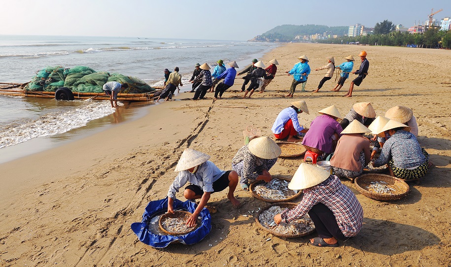 Hải sản tươi ngon Sầm Sơn được ngư dân đánh bắt mỗi ngày