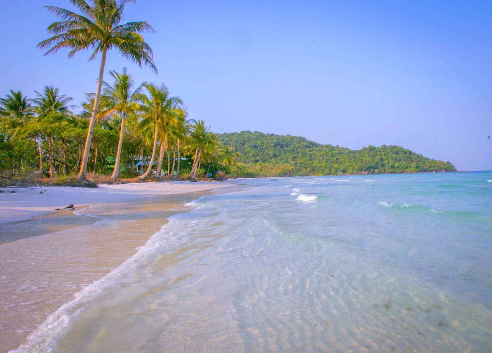  Ảnh chụp bãi Sao, bãi tắm nổi tiếng ở phía Nam đảo một buổi sáng vắng vẻ 10 năm trước, lấp ló bên làn nước biển trong vắt là bạt ngàn dừa và mênh mông nắng, gió.