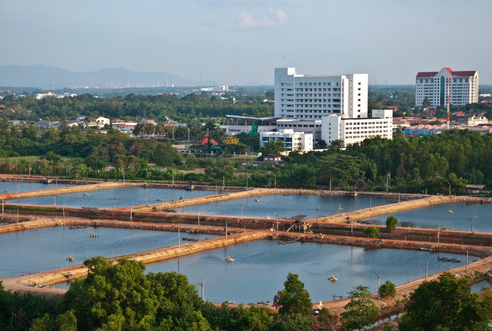 Trung tâm nghiên cứu tôm giống thủy sản lớn nhất Đông Nam Á của CP Group đặt tại Gành Hào, Đông Hải, Bạc Liêu là mũi nhọn phát triển nông nghiệp công nghệ cao của toàn vùng Đồng bằng sông Cửu Long