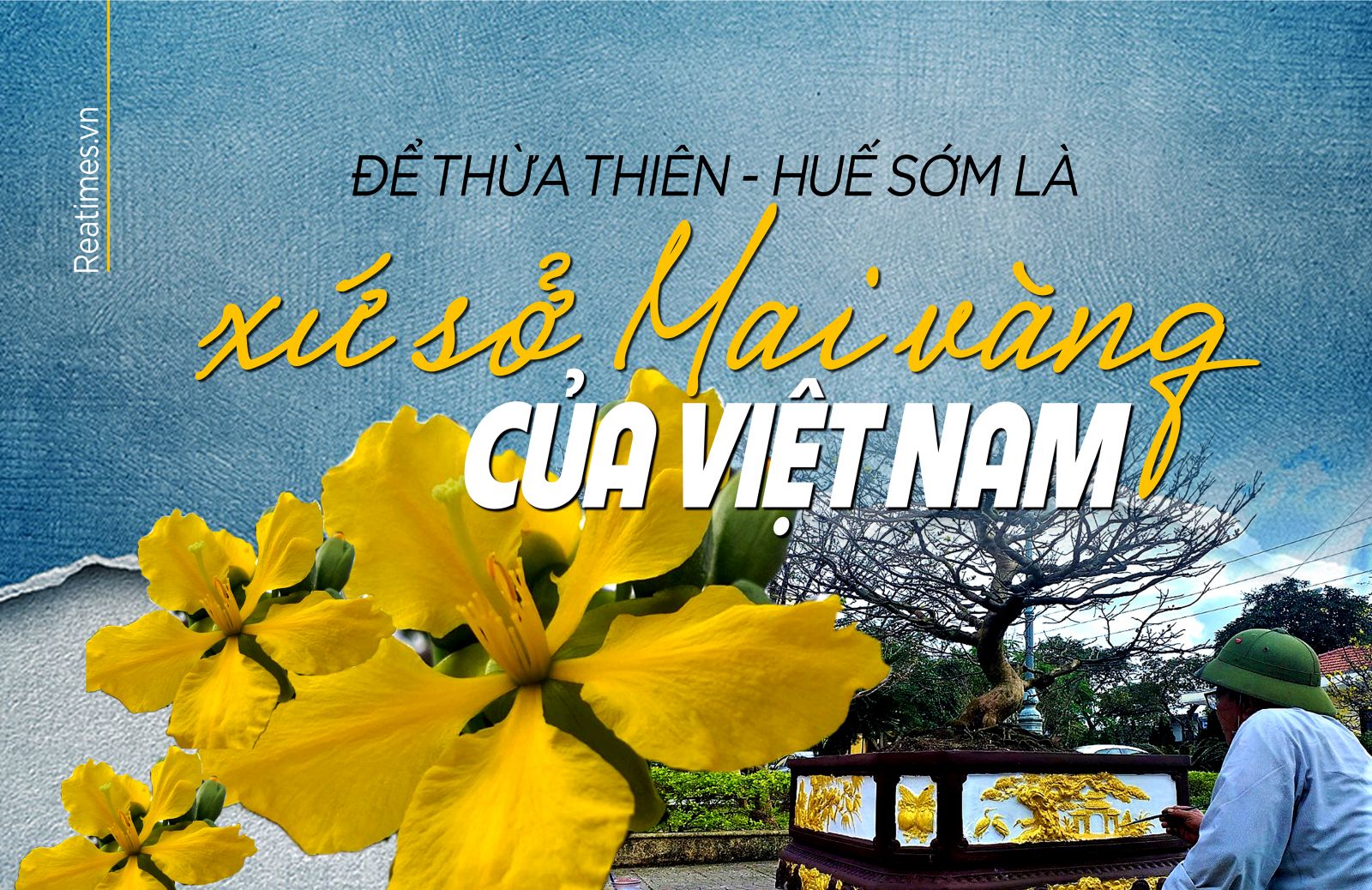 Để Thừa Thiên - Huế sớm là xứ sở Mai vàng của Việt Nam