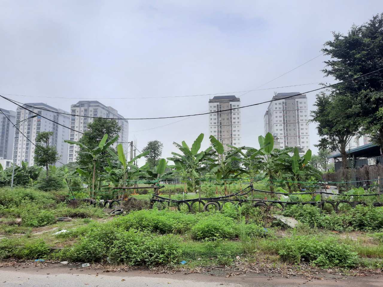 Khu đô thị Thanh Hà
