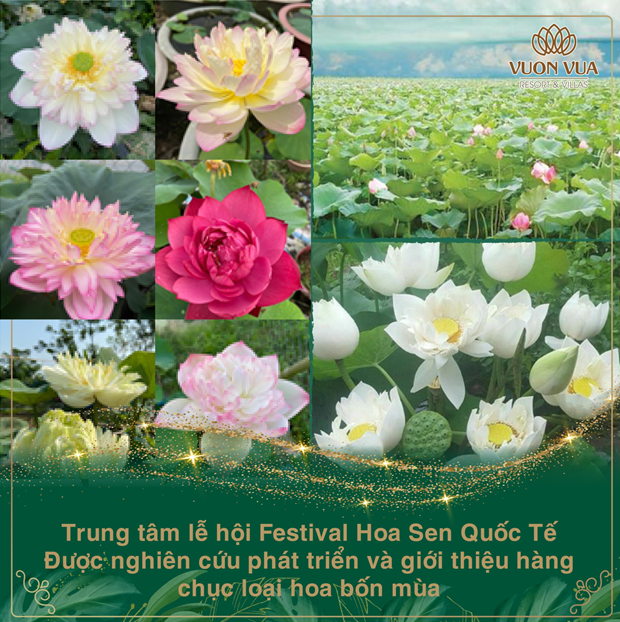Dự án Vườn Vua Resort & Villas  Phú Thọ