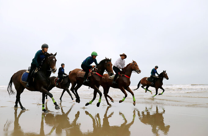 Câu lạc bộ cưỡi ngựa thể thao quốc tế cũng vừa được tổ chức, ra mắt tại Khu du lịch Xuân Thành.