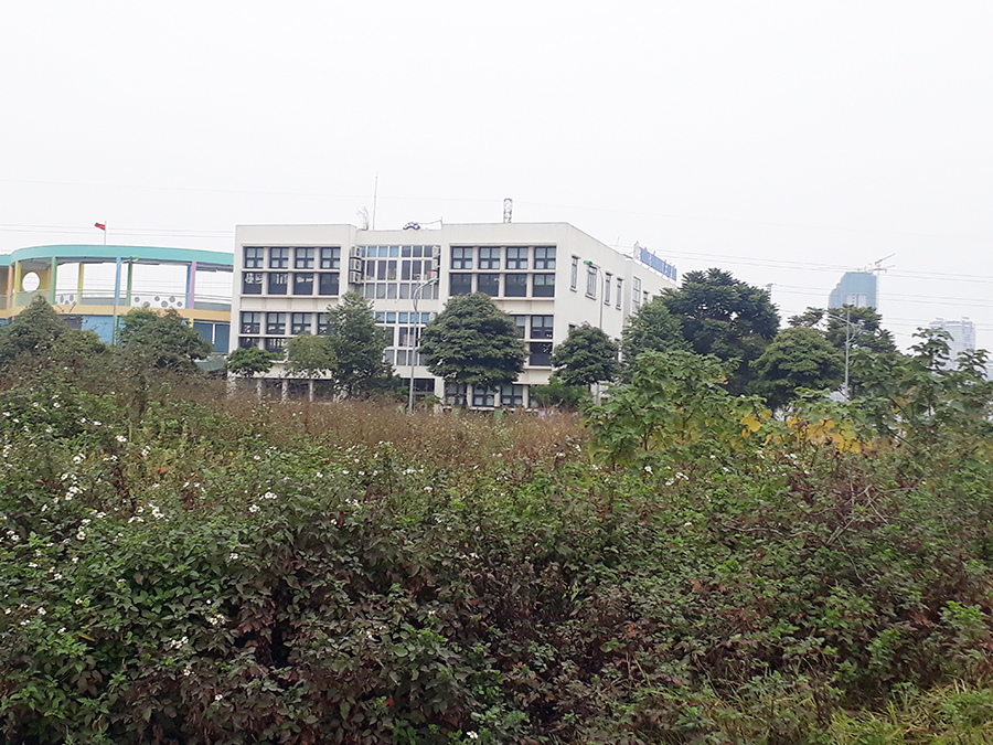 Trong Khu đô thị mới Dương Nội, nhiều diện tích để hoang hóa, cỏ mọc um tùm...