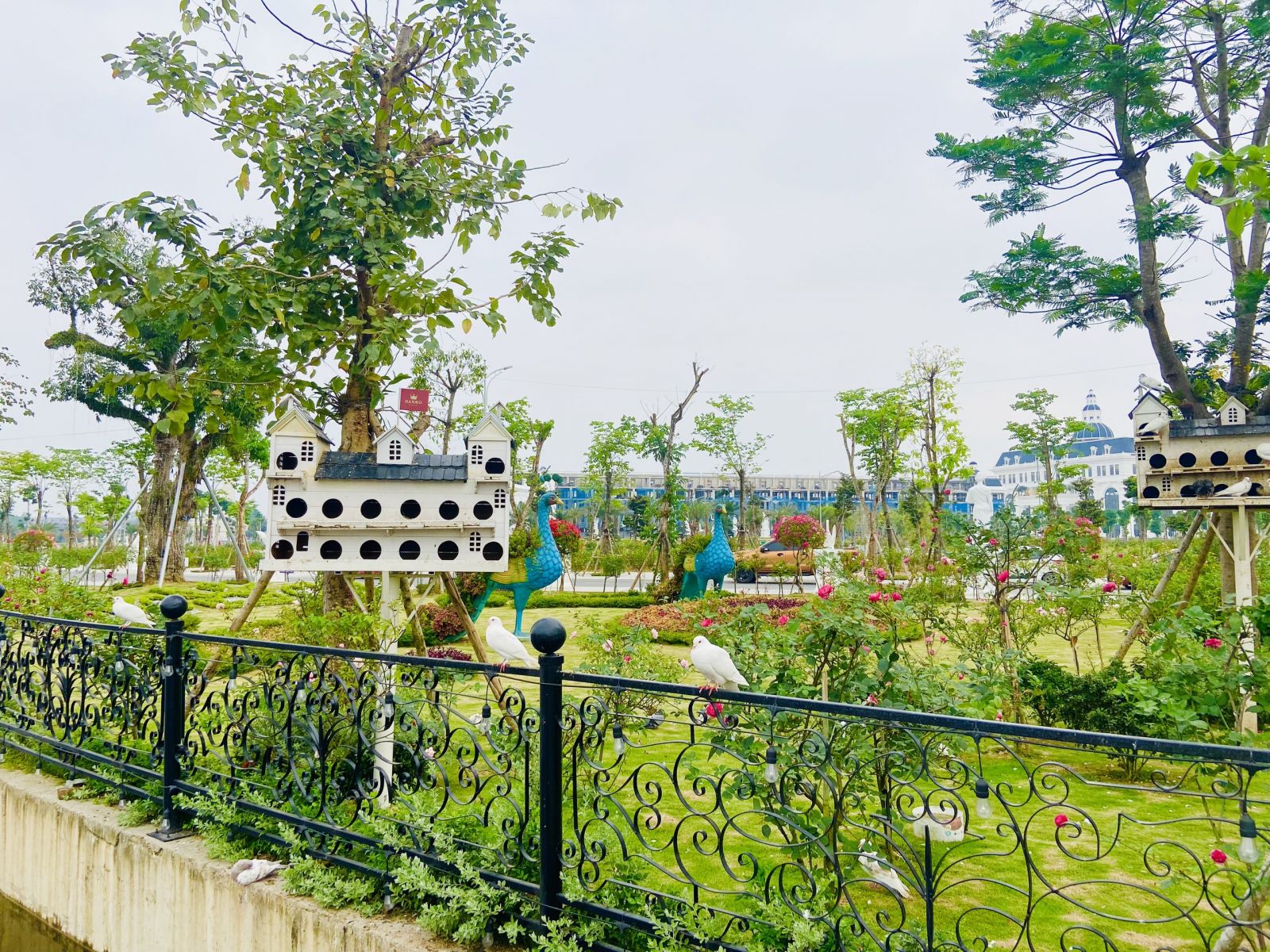 Không gian ngập tràn sắc xanh tại KĐT Danko City Thái Nguyên