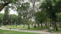 TP.HCM tăng thêm công viên, cải thiện mảng xanh đô thị