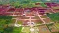 “Thủ phủ” phân lô ở Lâm Đồng: Đất quy hoạch công viên, sân golf, đất giáo dục cũng bị băm nát để bán 