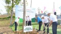Vietcombank phát động chương trình trồng 60 nghìn cây xanh 
