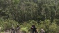 Chuyện lạ đằng sau những “sổ đỏ đất rừng sản xuất” được cấp ở Đại Lộc