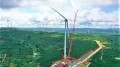 Nhà máy điện gió lớn nhất Việt Nam tại “miền đất đỏ Tây Nguyên”