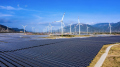 Ninh Thuận: Kiến nghị ưu tiên khai thác toàn bộ công suất dự án năng lượng tái tạo
