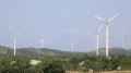 Quảng Trị chuyển đổi hơn 20ha đất lâm nghiệp làm điện gió