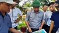 Quảng Nam: Quy hoạch 9.516ha hạ lưu sông Thu Bồn để phát triển đô thị