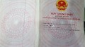 Có hay không “đường dây” làm sổ đỏ giả ở Quảng Bình?