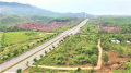 Thanh tra toàn diện việc quản lý đất rừng tại Đà Nẵng