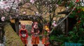 Trải nghiệm homestay ngắm hoa đào tháng Ba ở Lô Lô Chải
