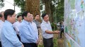 Thủ tướng: Kiểm soát bằng được tiến độ dự án cao tốc Khánh Hòa - Buôn Ma Thuột
