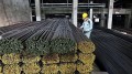 8 tháng, Việt Nam nhập siêu gần 2,3 triệu tấn sắt thép