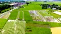 Thanh Hóa: Thu hút đầu tư vào lĩnh vực nông nghiệp công nghệ cao