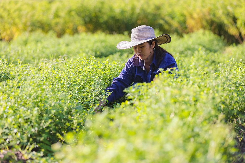 Anh hùng Lao động Thái Hương: Dám mơ lớn và hành trình giữ vững đạo đức trong kinh doanh- Ảnh 21.