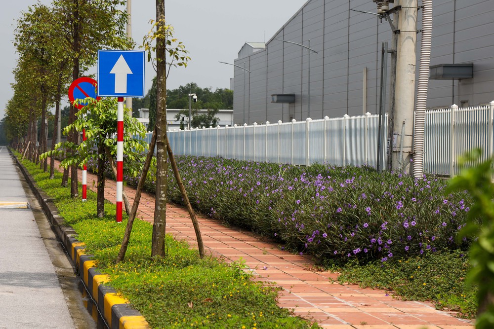 Khu công nghiệp Đồng Văn IV: Đã xây dựng nhà ở cho công nhân, nhưng vẫn còn nhiều đất trống- Ảnh 10.