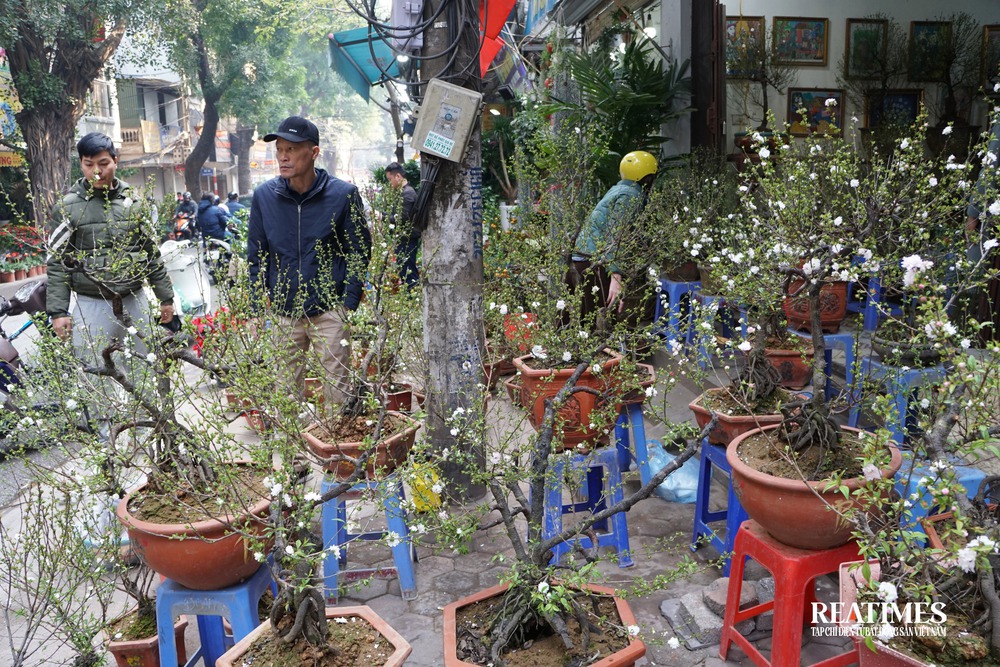 Chợ Bưởi những phiên cuối cùng của năm mang đậm nét văn hóa người Hà Nội- Ảnh 17.