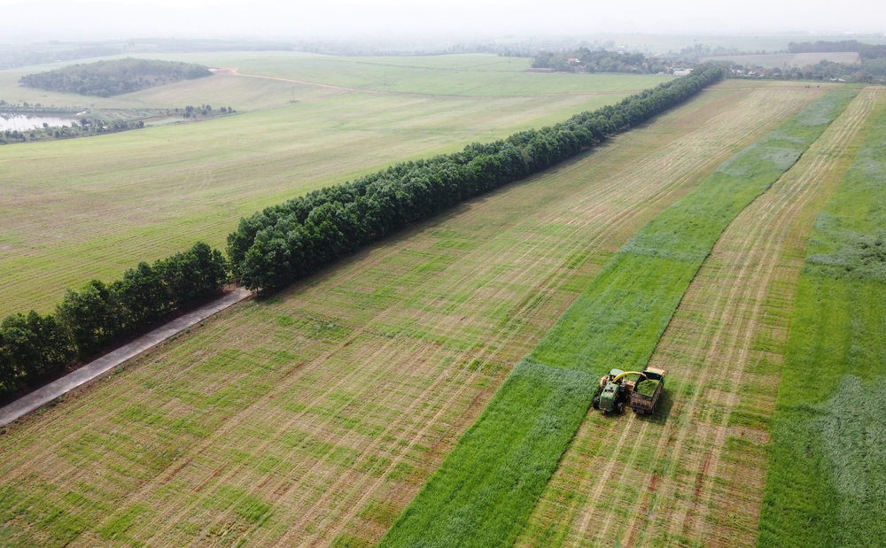 Bài 1: Phá “trần tư duy”, mở “đường băng thể chế” cho nông nghiệp cất cánh- Ảnh 7.