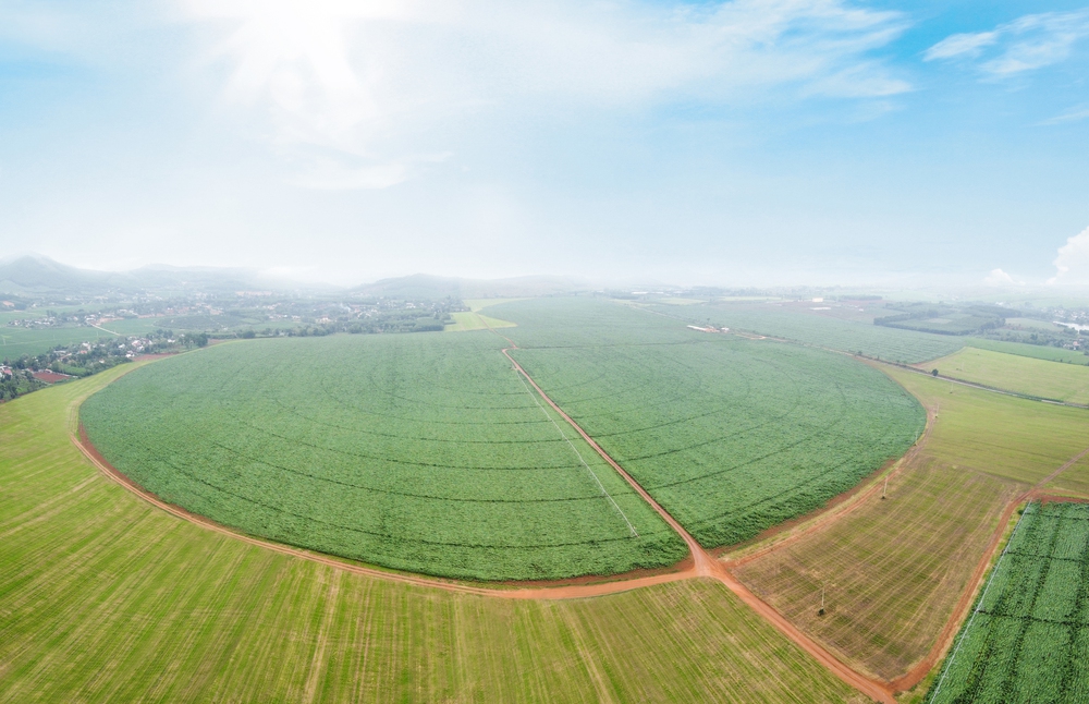 Bài 1: Phá “trần tư duy”, mở “đường băng thể chế” cho nông nghiệp cất cánh- Ảnh 6.