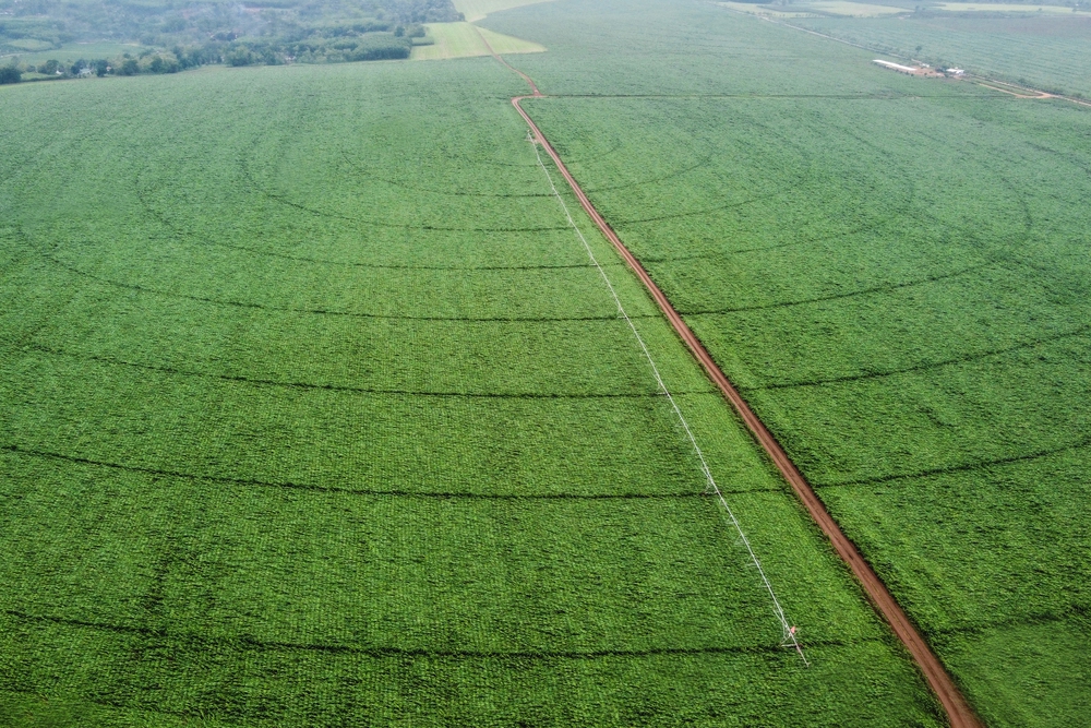 Bài 1: Phá “trần tư duy”, mở “đường băng thể chế” cho nông nghiệp cất cánh- Ảnh 8.