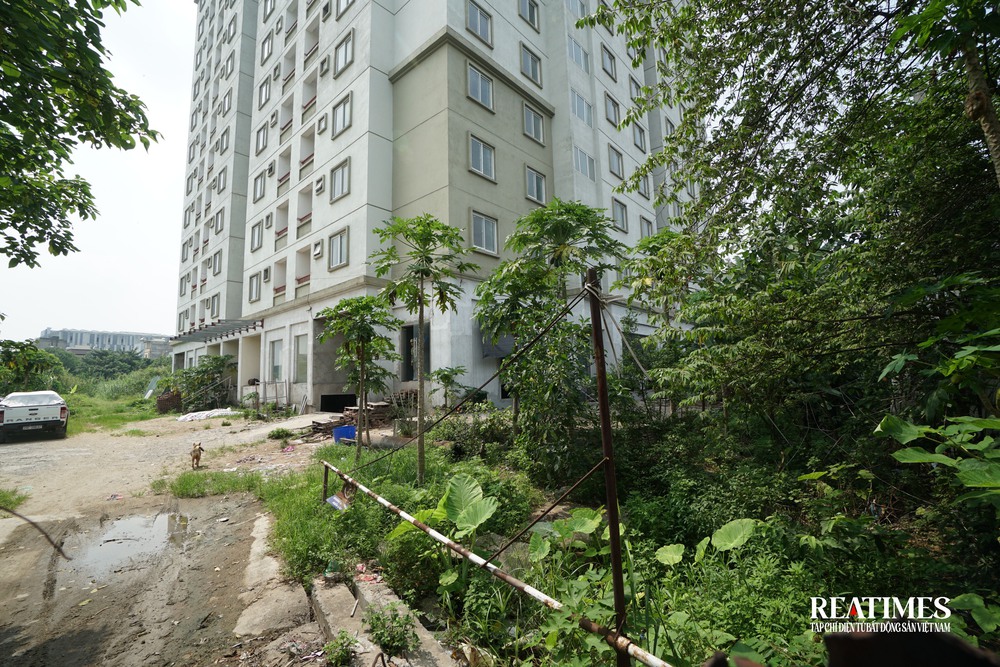 Bỏ hoang, lãng phí... tại một số khu nhà tái định cư ở Hà Nội- Ảnh 15. Bỏ hoang, lãng phí... tại một số khu nhà tái định cư ở Hà Nội- Ảnh 15.