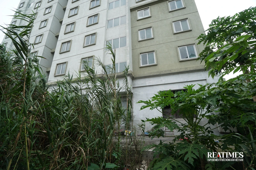 Bỏ hoang, lãng phí... tại một số khu nhà tái định cư ở Hà Nội- Ảnh 16. Bỏ hoang, lãng phí... tại một số khu nhà tái định cư ở Hà Nội- Ảnh 16.