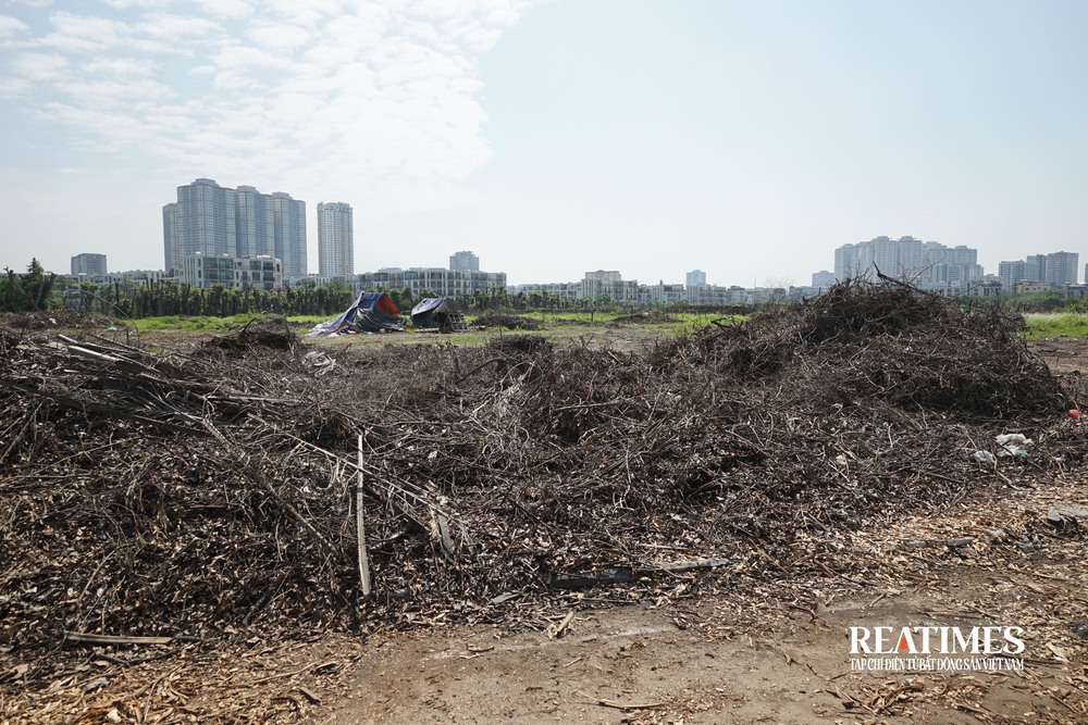 Hà Nội: Công viên Chu Văn An vẫn là nơi xả rác, trồng rau sau gần một thập kỷ- Ảnh 11. Hà Nội: Công viên Chu Văn An vẫn là nơi xả rác, trồng rau sau gần một thập kỷ- Ảnh 11.