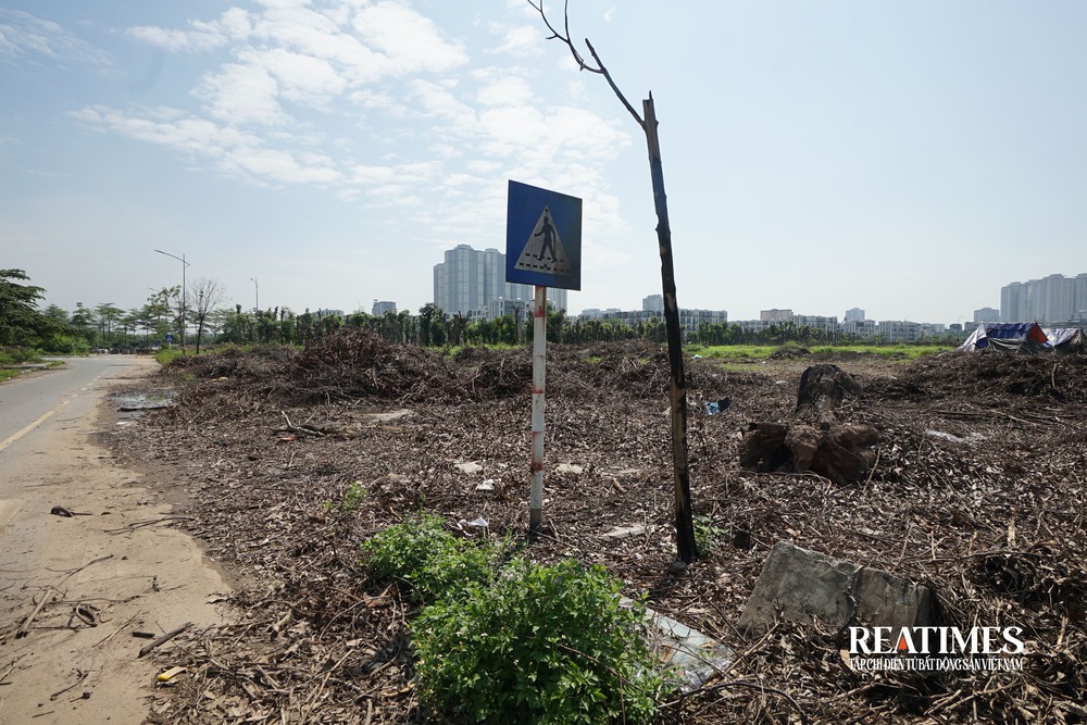 Hà Nội: Công viên Chu Văn An vẫn là nơi xả rác, trồng rau sau gần một thập kỷ- Ảnh 15. Hà Nội: Công viên Chu Văn An vẫn là nơi xả rác, trồng rau sau gần một thập kỷ- Ảnh 15.
