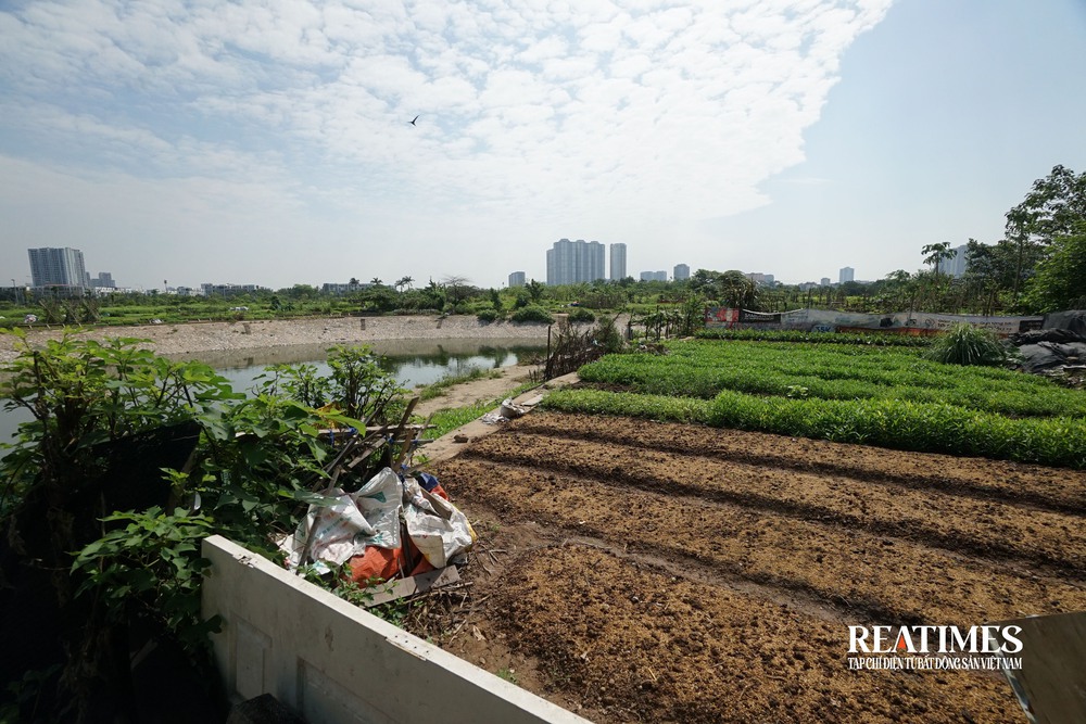 Hà Nội: Công viên Chu Văn An vẫn là nơi xả rác, trồng rau sau gần một thập kỷ- Ảnh 8. Hà Nội: Công viên Chu Văn An vẫn là nơi xả rác, trồng rau sau gần một thập kỷ- Ảnh 8.