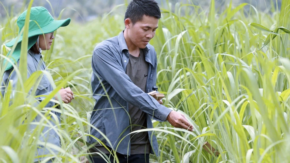 Tập đoàn Thành Thành Công và chiến lược đa ngành bền vững - Từ "tâm xanh" đến "hành động xanh"- Ảnh 10. Tập đoàn Thành Thành Công và chiến lược đa ngành bền vững - Từ "tâm xanh" đến "hành động xanh"- Ảnh 10.
