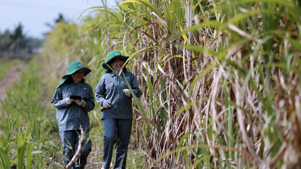 Tập đoàn Thành Thành Công và chiến lược đa ngành bền vững - Từ "tâm xanh" đến "hành động xanh"- Ảnh 9. Tập đoàn Thành Thành Công và chiến lược đa ngành bền vững - Từ "tâm xanh" đến "hành động xanh"- Ảnh 9.