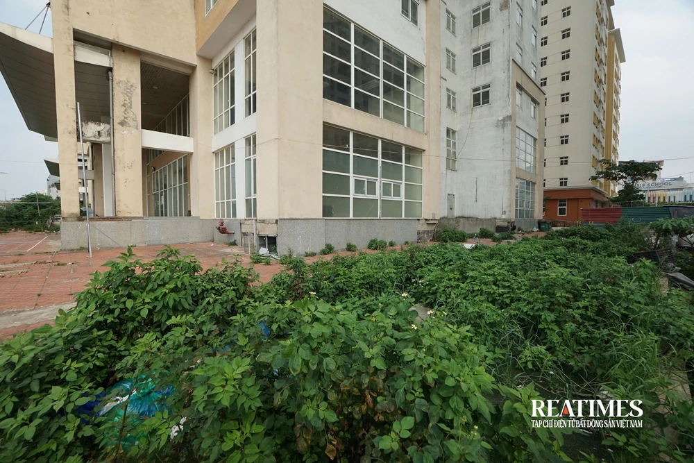 Hà Nội: Khu tái định cư Xuân La bỏ hoang nhiều năm được rao bán 60 triệu đồng/m2- Ảnh 18. Hà Nội: Khu tái định cư Xuân La bỏ hoang nhiều năm được rao bán 60 triệu đồng/m2- Ảnh 18.
